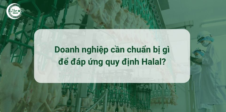 Những việc cần thực hiện để đáp ứng quy định Halal của các nước
