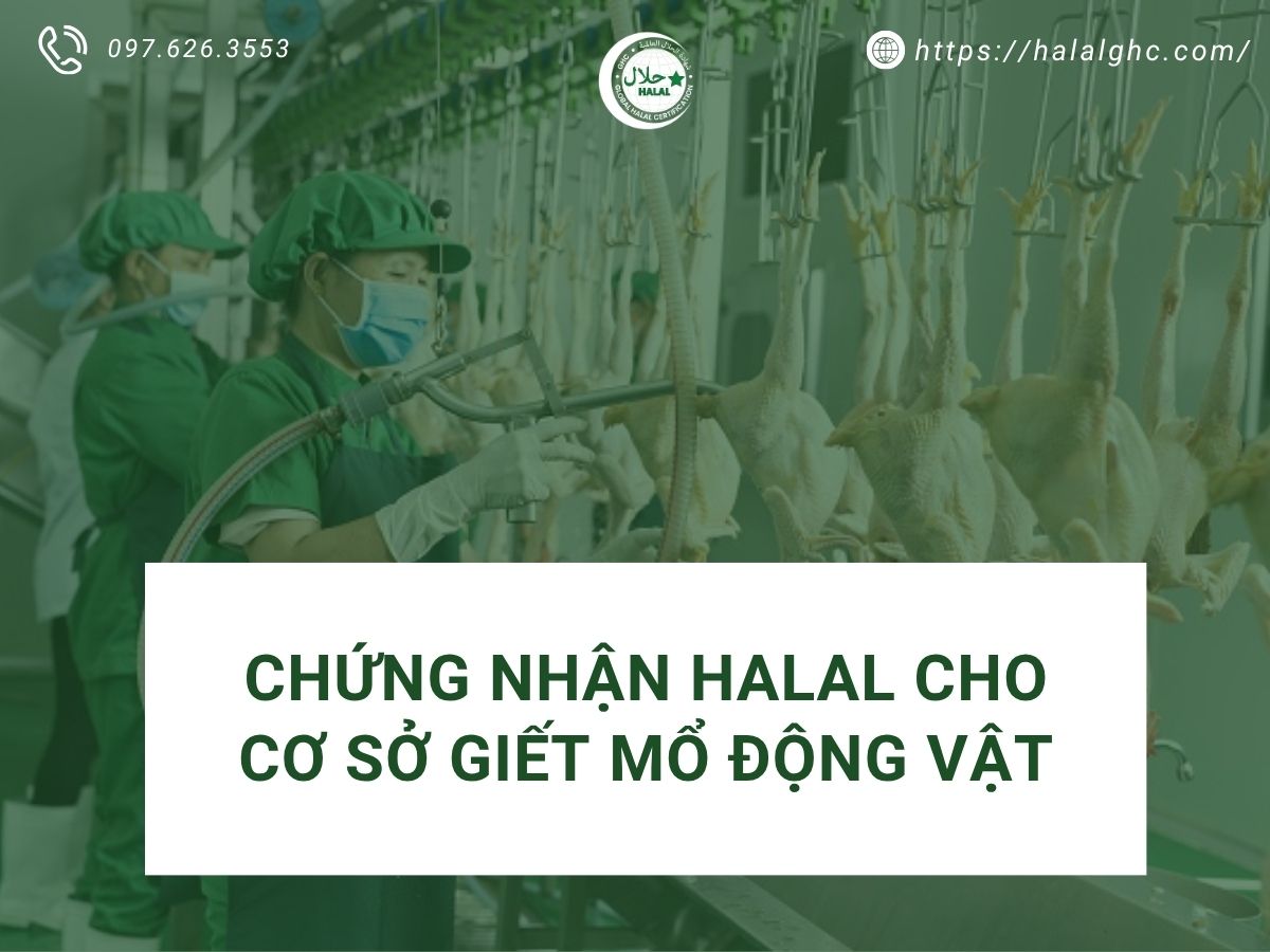 Tìm hiểu chứng nhận Halal cho cơ sở giết mổ và chăn nuôi động vật