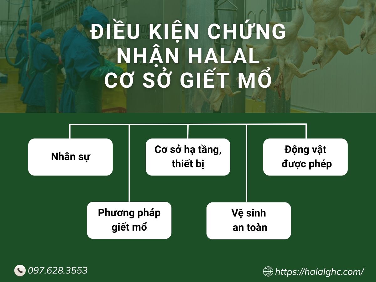 Các điều kiện bắt buộc khi chứng nhận halal cho cơ sở giết mổ động vật