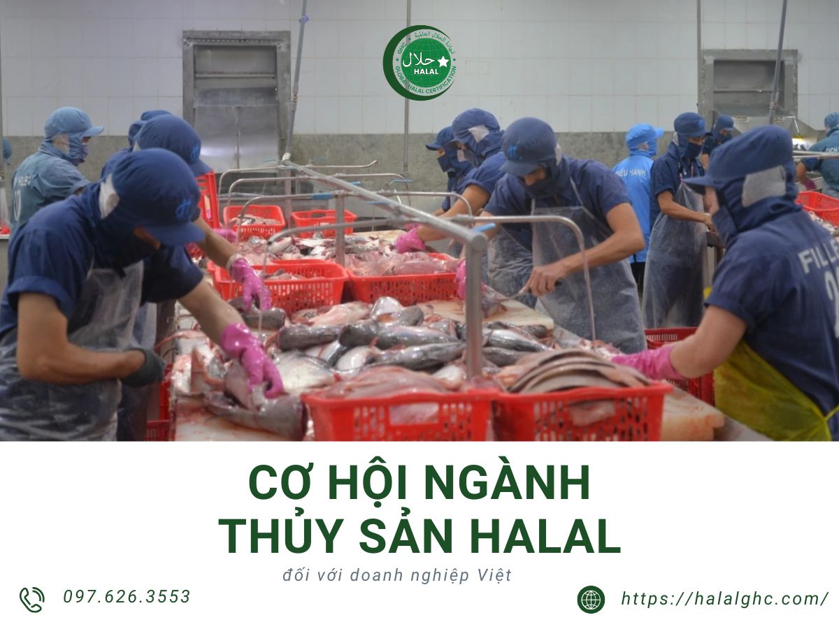 Tiềm năng của ngành thủy sản Halal đối với doanh nghiệp Việt