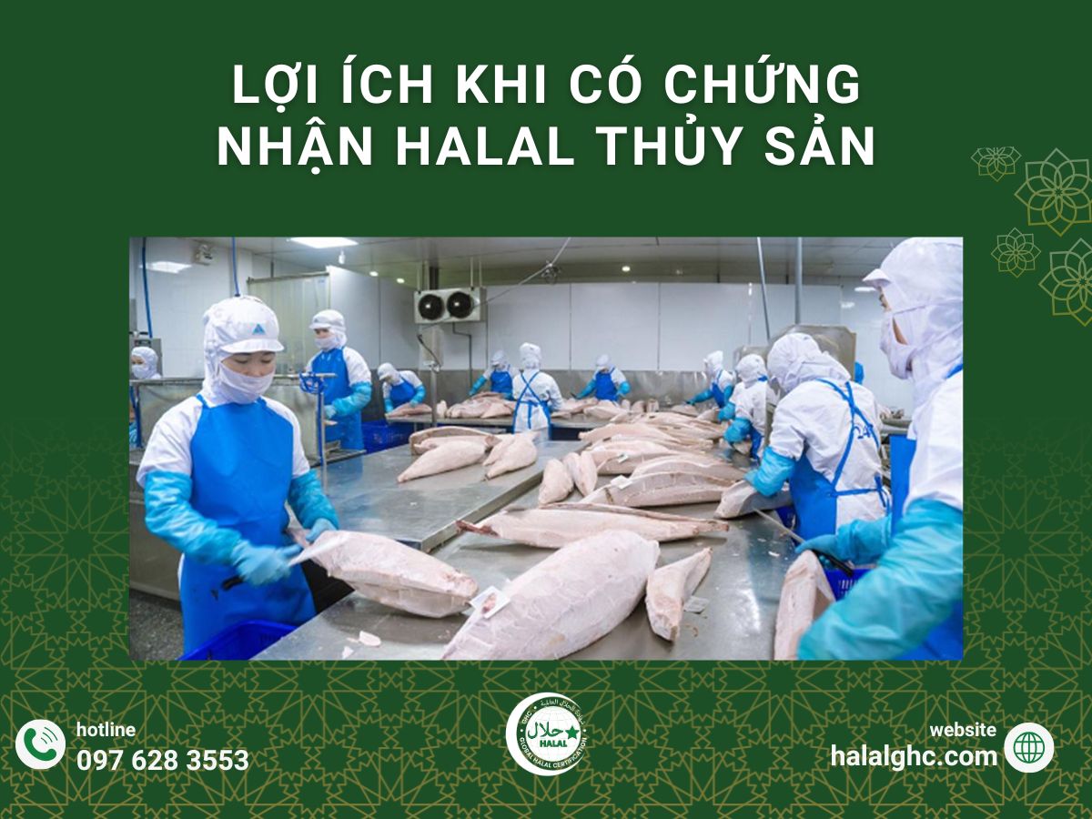 Những lợi ích khi sở hữu chứng nhận Halal thủy sản