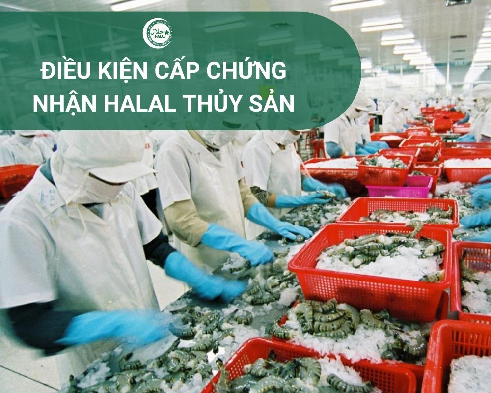 Các điều kiện tiêu chuẩn để cấp chứng nhận Halal cho sản phẩm thủy sản