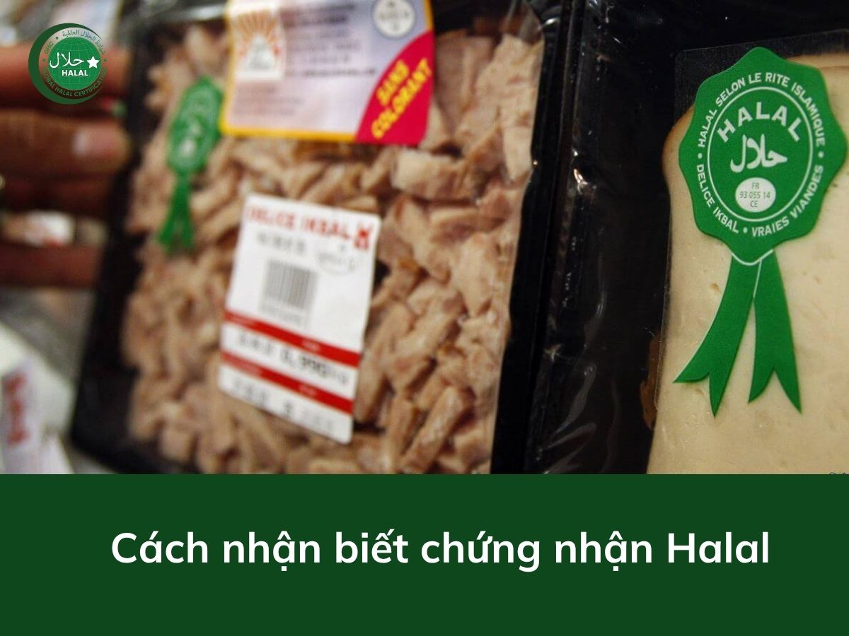 Hướng dẫn nhận biết logo chứng nhận Halal chính xác