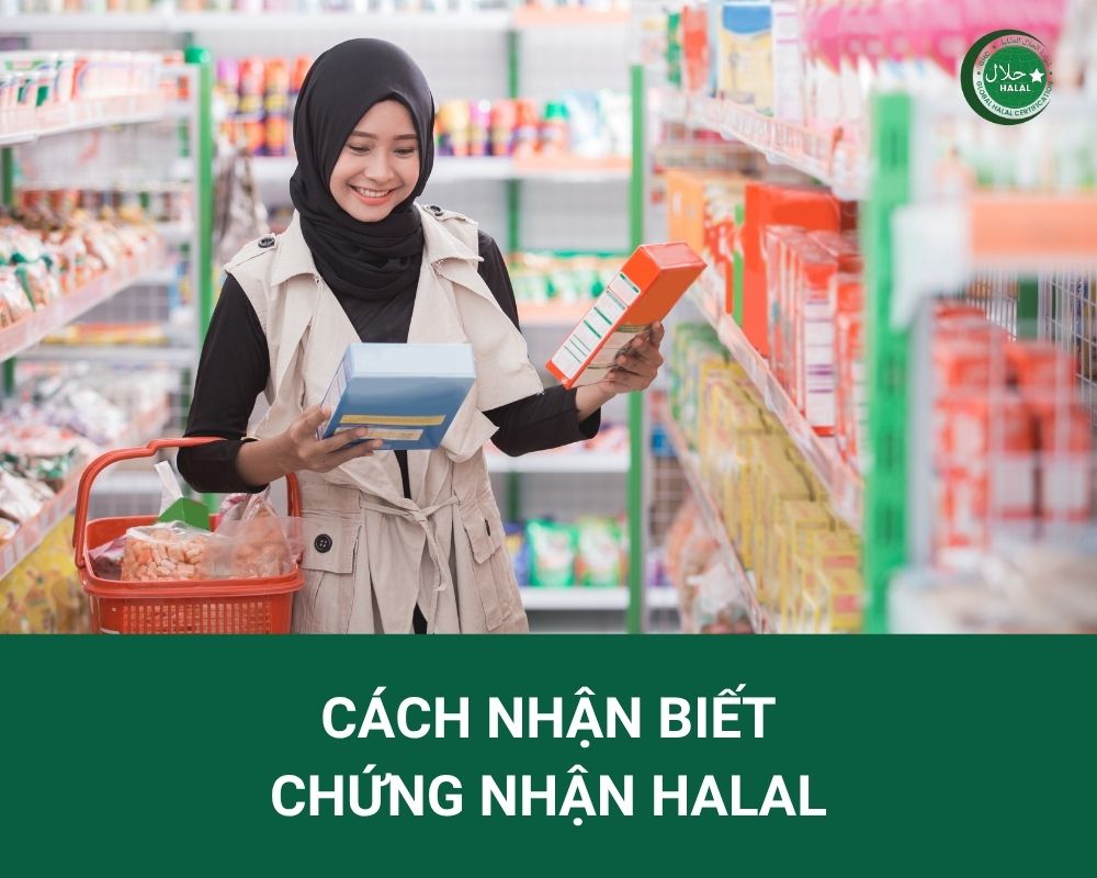 Hướng dẫn nhận biết logo chứng nhận Halal chính xác