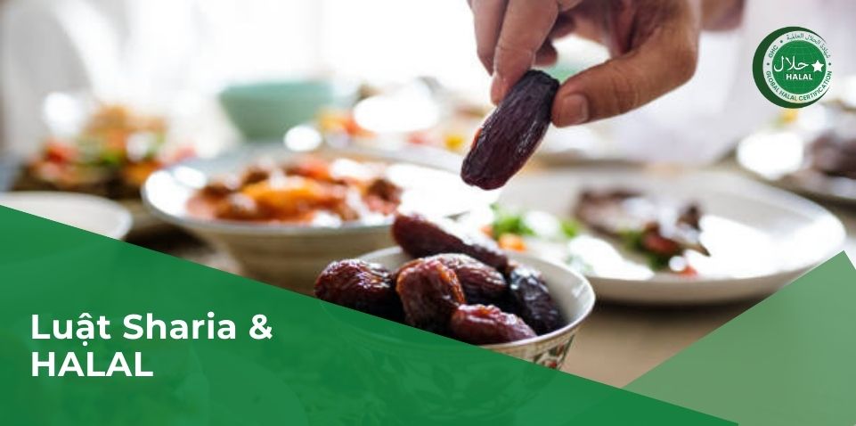 Mối quan hệ giữa luật Sharia và Halal