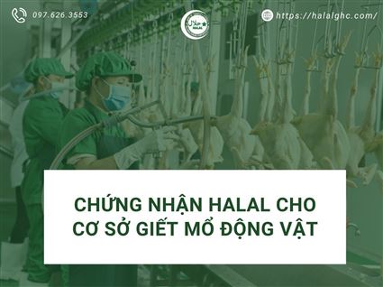 Chứng nhận Halal cho cơ sở giết mổ động vật và chăn nuôi