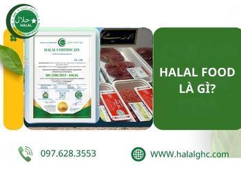 Halal Food Là Gì? Giải Thích Chi Tiết Từ A-Z