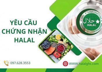 [Yêu Cầu] Chứng Nhận Halal Mới Nhất Năm 2026 - Chuẩn Quốc Tế