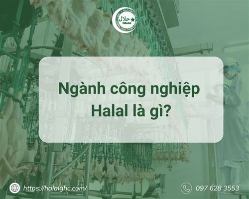Ngành công nghiệp Halal là gì? Cơ hội phát triển ngành Halal tại Việt Nam