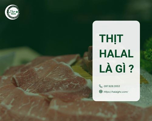 Thịt Halal là gì? Cách nhận biết và lợi ích khi sử dụng