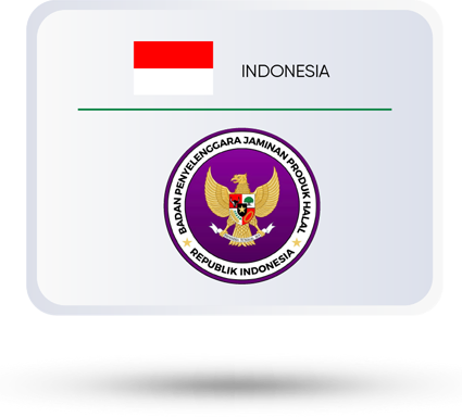 LOGO 8